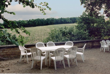 les vignes en automne vues de la terrasse du gite de groupe