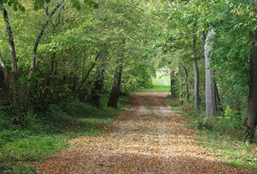 le parc du gite