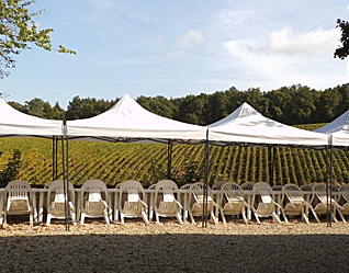 les vignes vues de la terrasse du gite
